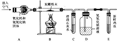 炭雕是一种集观赏与空气净化为一体的产品.这种产品可对车内及室内空气中的一氧化碳.甲醛等有害气体进行有效吸附.某课外小组想对炭雕产品进行初步探究. [提出问题]炭雕产品中.是否含有碳元素.[猜想与假设